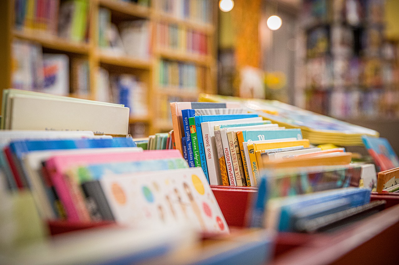 Book Library Literature Bookshelf  - Kollinger / Pixabay